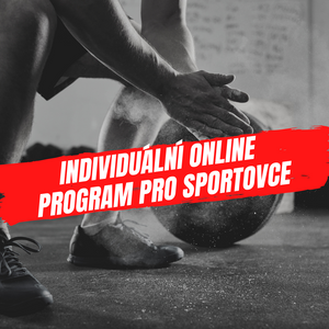 Game Ready: Tréninkový program pro sportovce